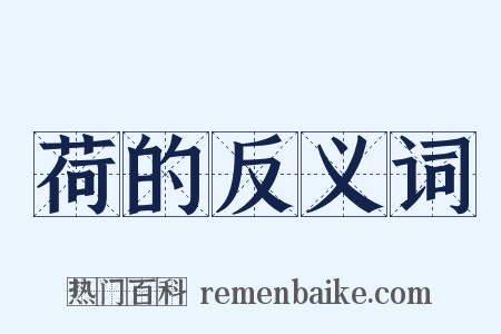 荷的反义词是什么意思的图片